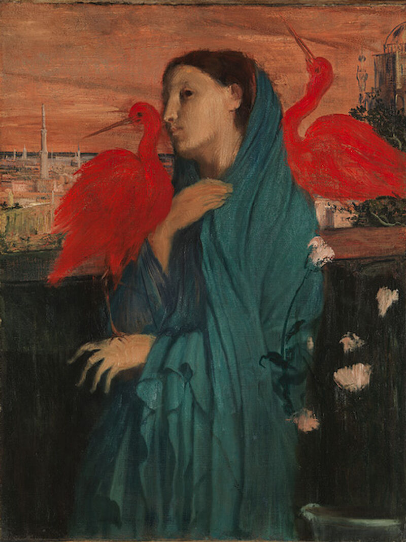 Young Woman with Ibis scale comparison