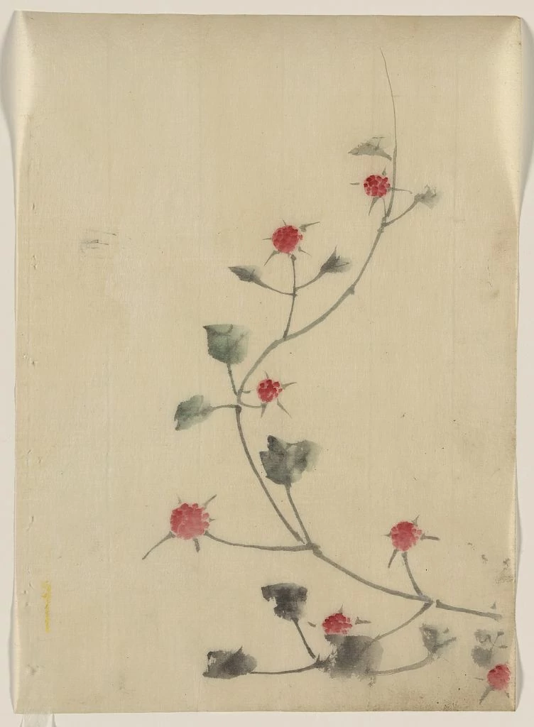 Small Red Blossoms on a Vine, Katsushika Hokusai