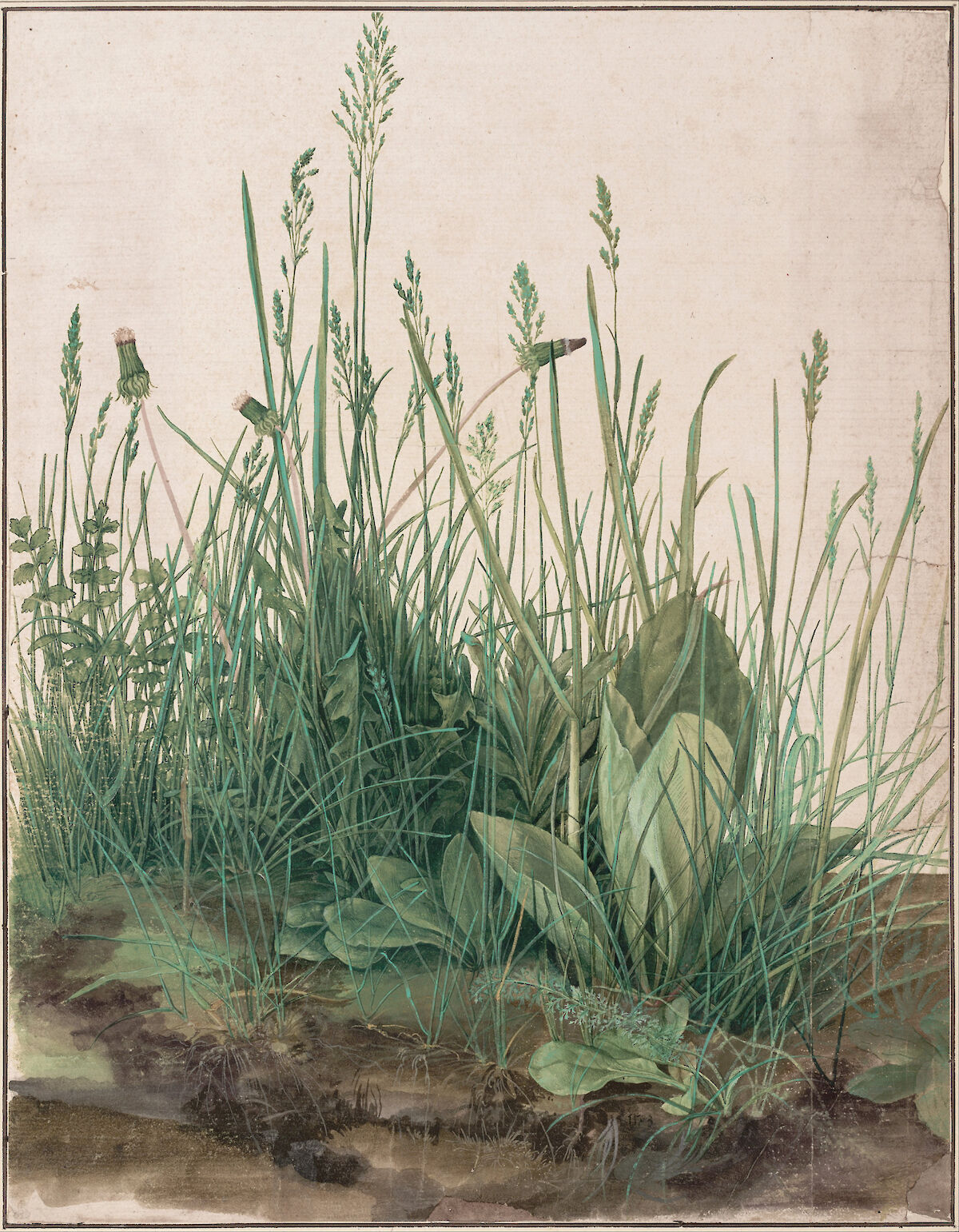 The Large Piece of Turf by Albrecht DÃ¼rer | Obelisk Art History