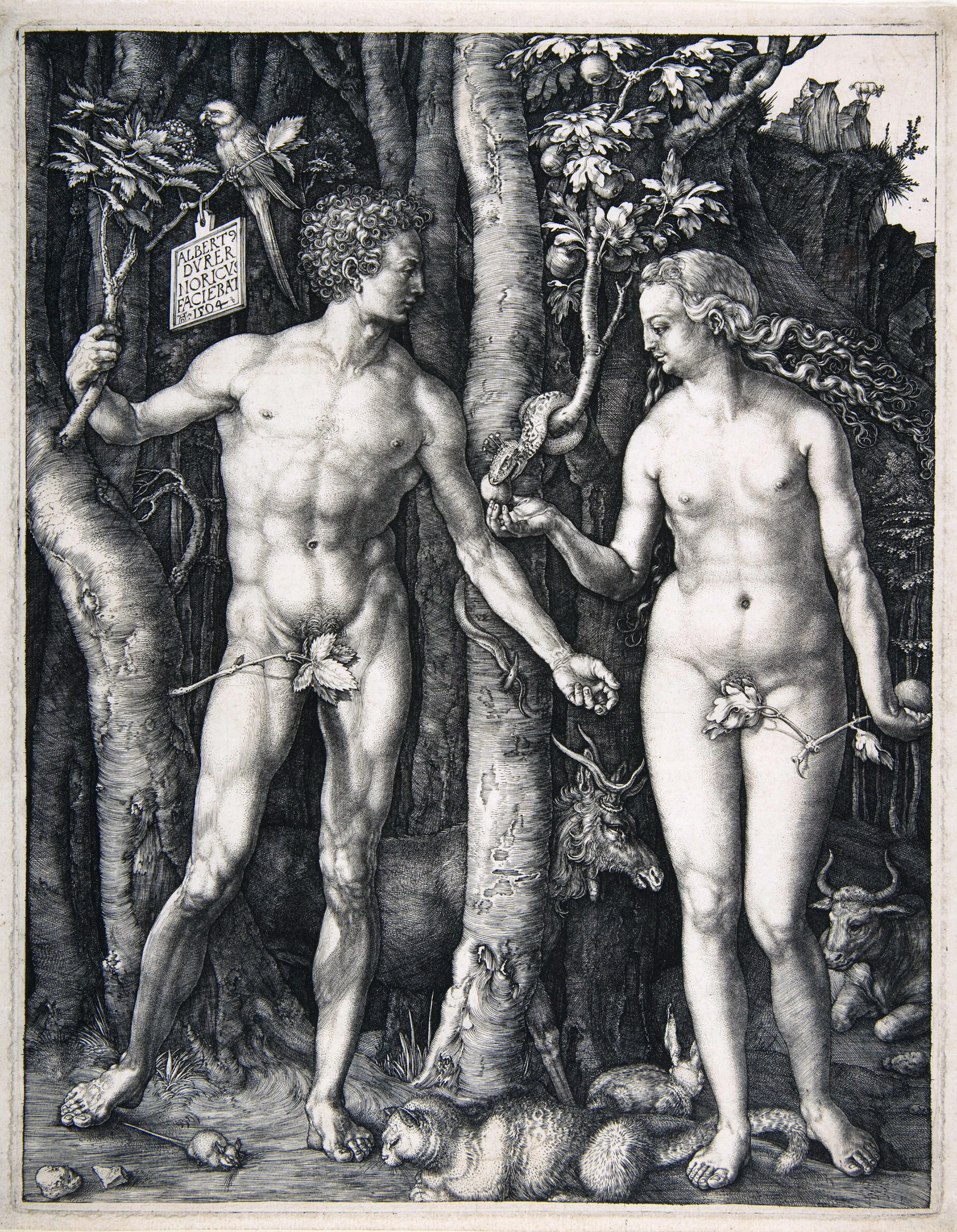 Adam and Eve, Albrecht Dürer