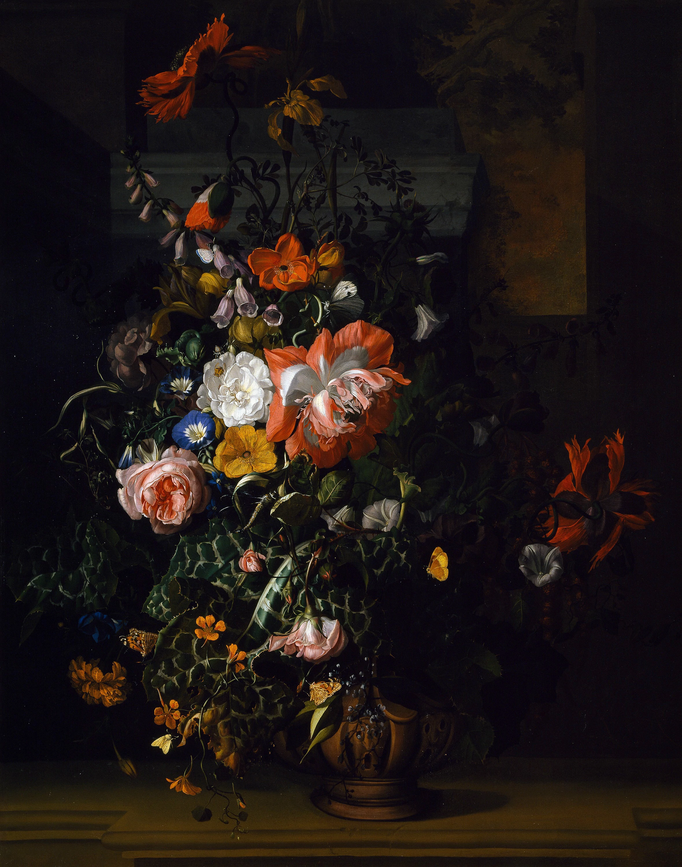 Roses, Convolvulus, Poppies, and Other Flowers, Rachel Ruysch