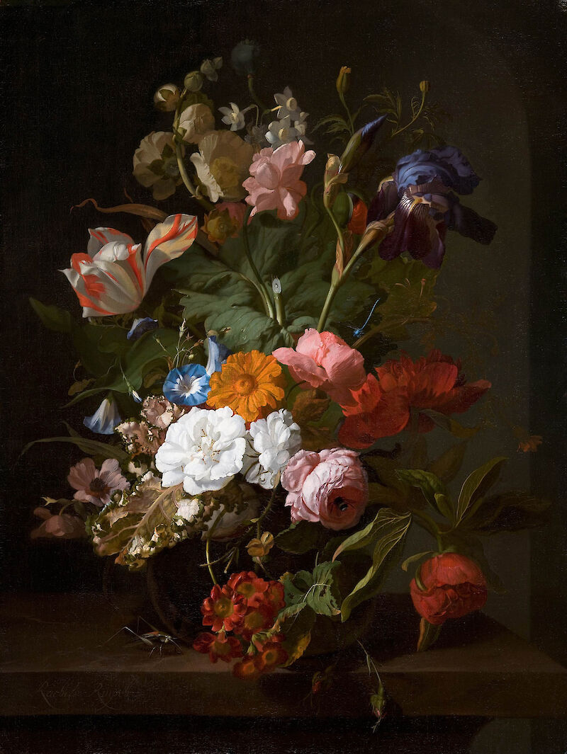 Still Life with Flowers and a Cricket, Rachel Ruysch