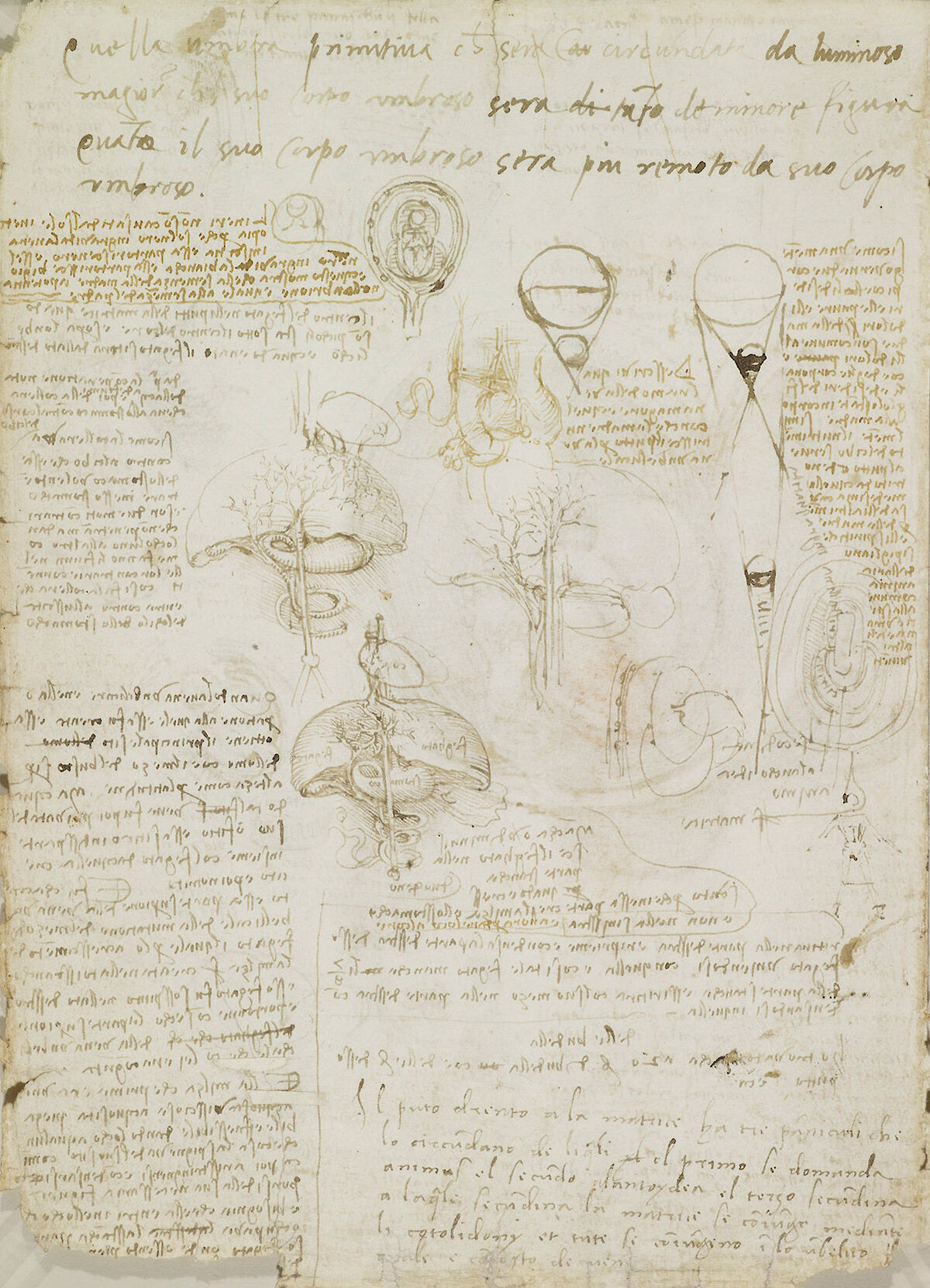 Notes on reproduction by Leonardo da Vinci | Obelisk Art History