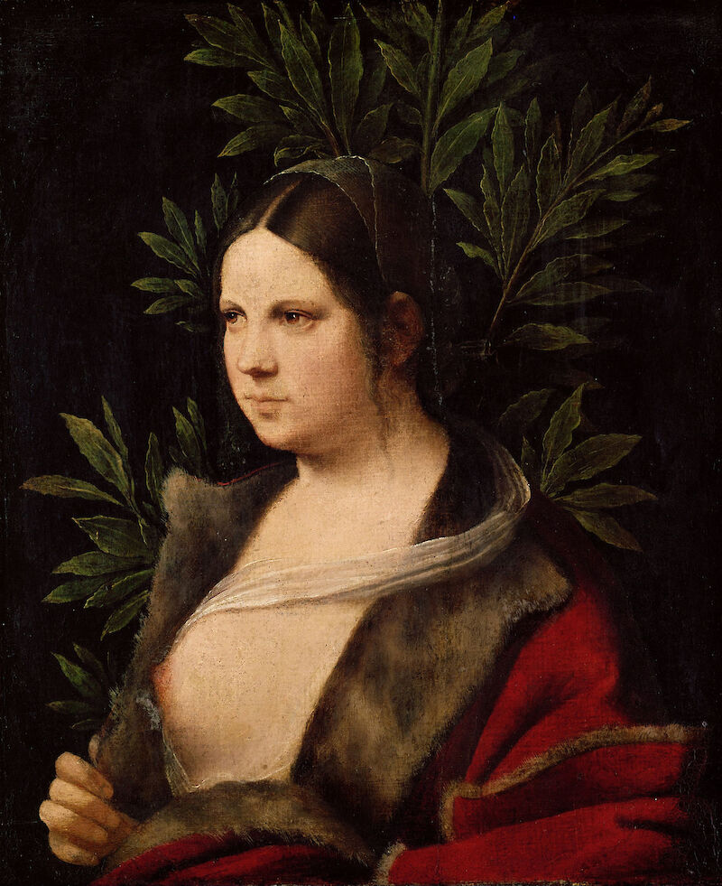 Laura, Giorgione