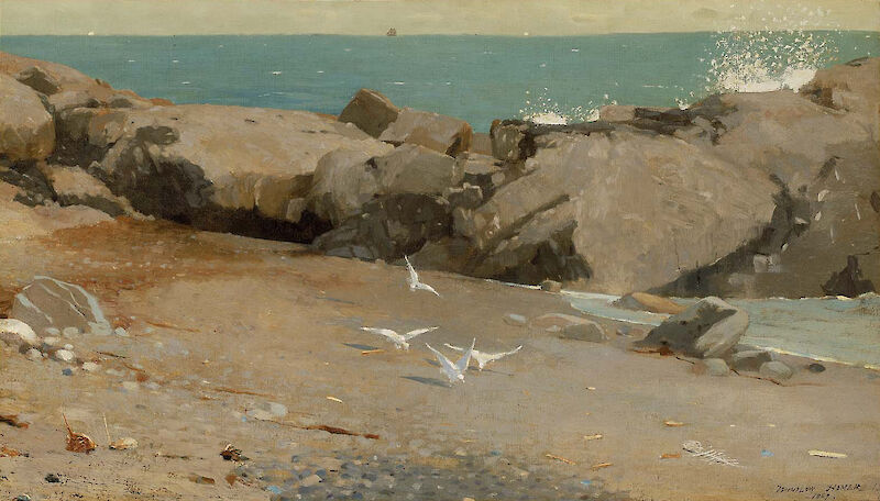 Rocky Coast and Gulls, Winslow Homer