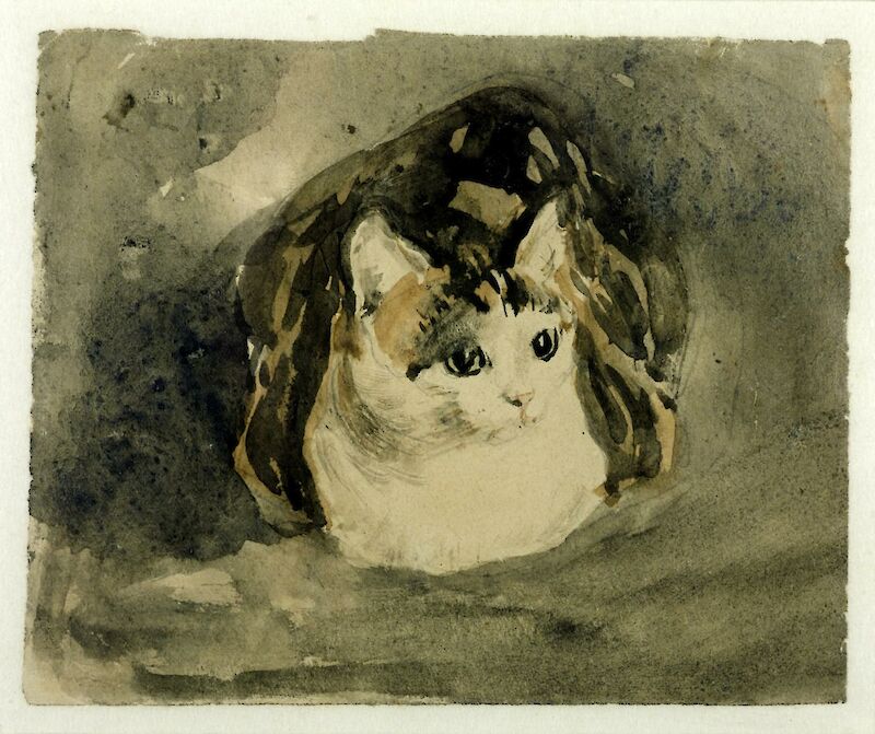Cat, Gwendolen Mary John
