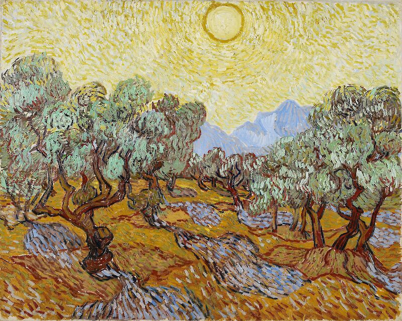Olive Trees, Vincent Van Gogh