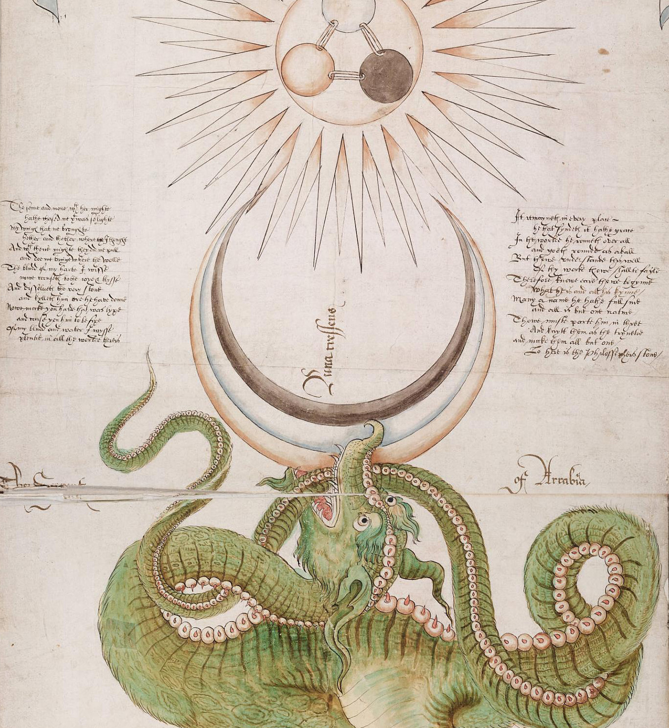 Ripley Nothing is what it seems in the search for the