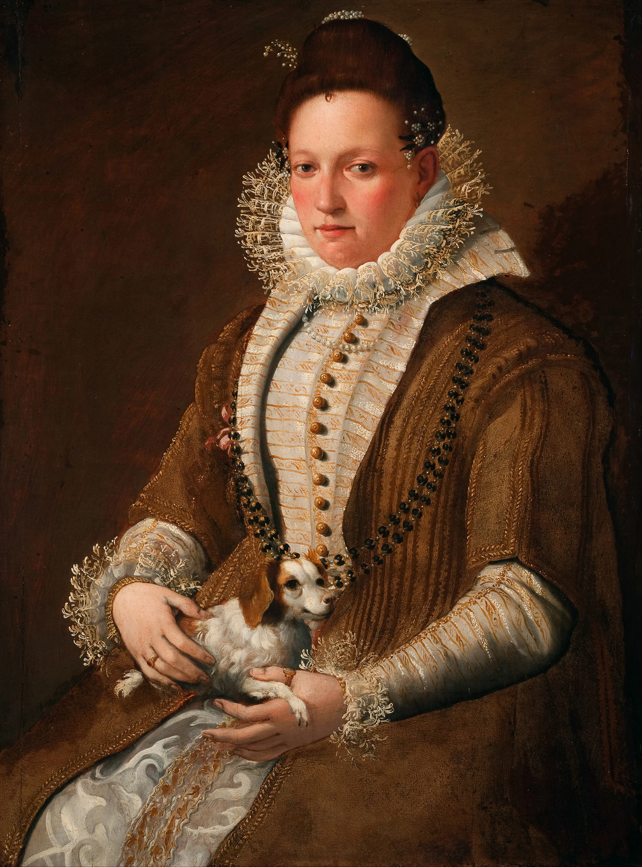 Portrait of a Lady with a Dog, Lavinia Fontana