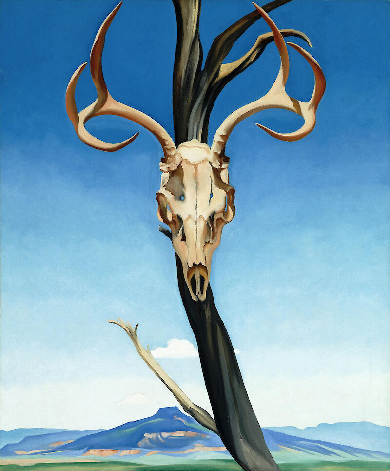 Deer's Skull with Pedernal, Georgia O'Keeffe