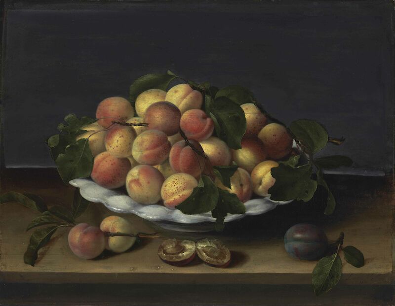 Apricots in a ceramic bowl, with plums on a stone ledge, Louise Moillon