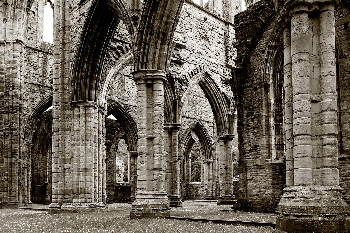 Tintern Abbey, additional view