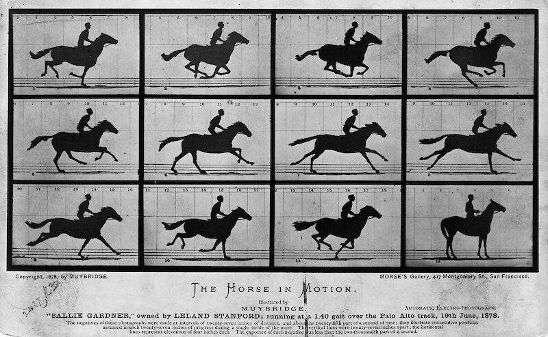 The Horse in Motion, Eadweard Muybridge