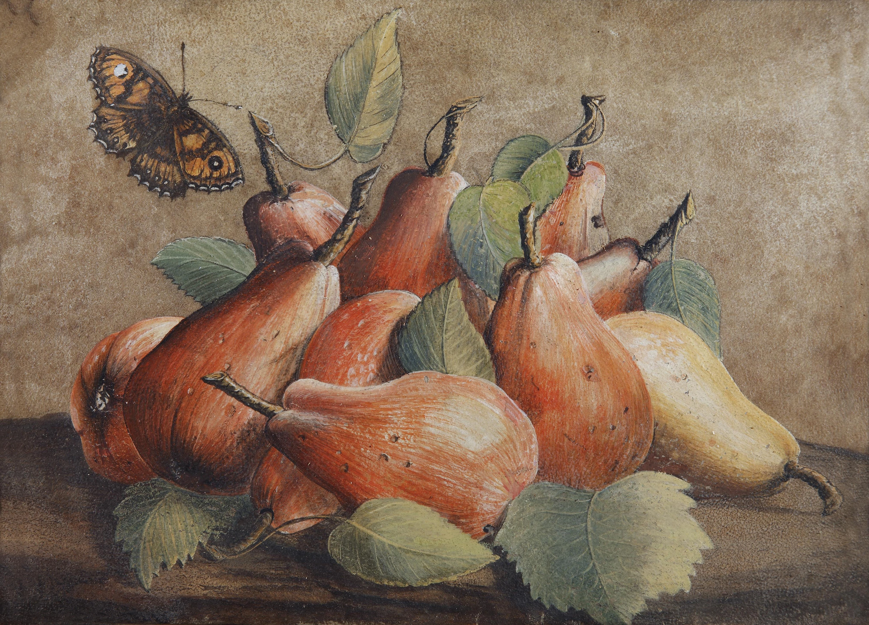 Still Life with Pears and a Butterfly, Giovanna Garzoni