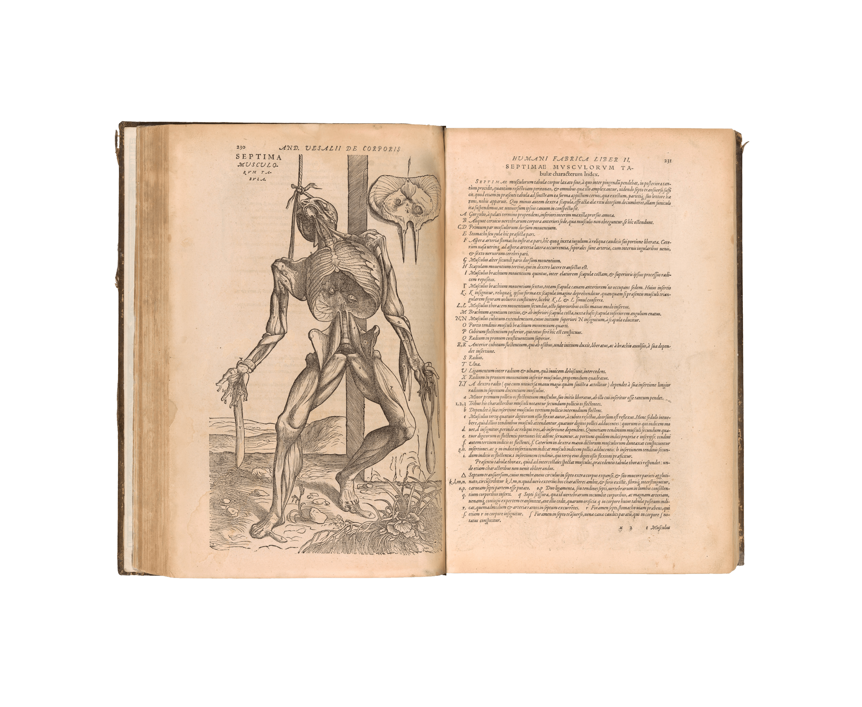 Andreas vesalius written works picture