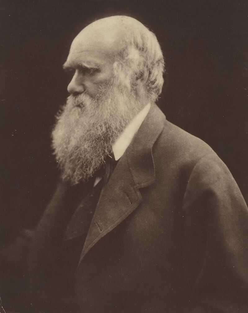 Portrait of Charles Darwin scale comparison