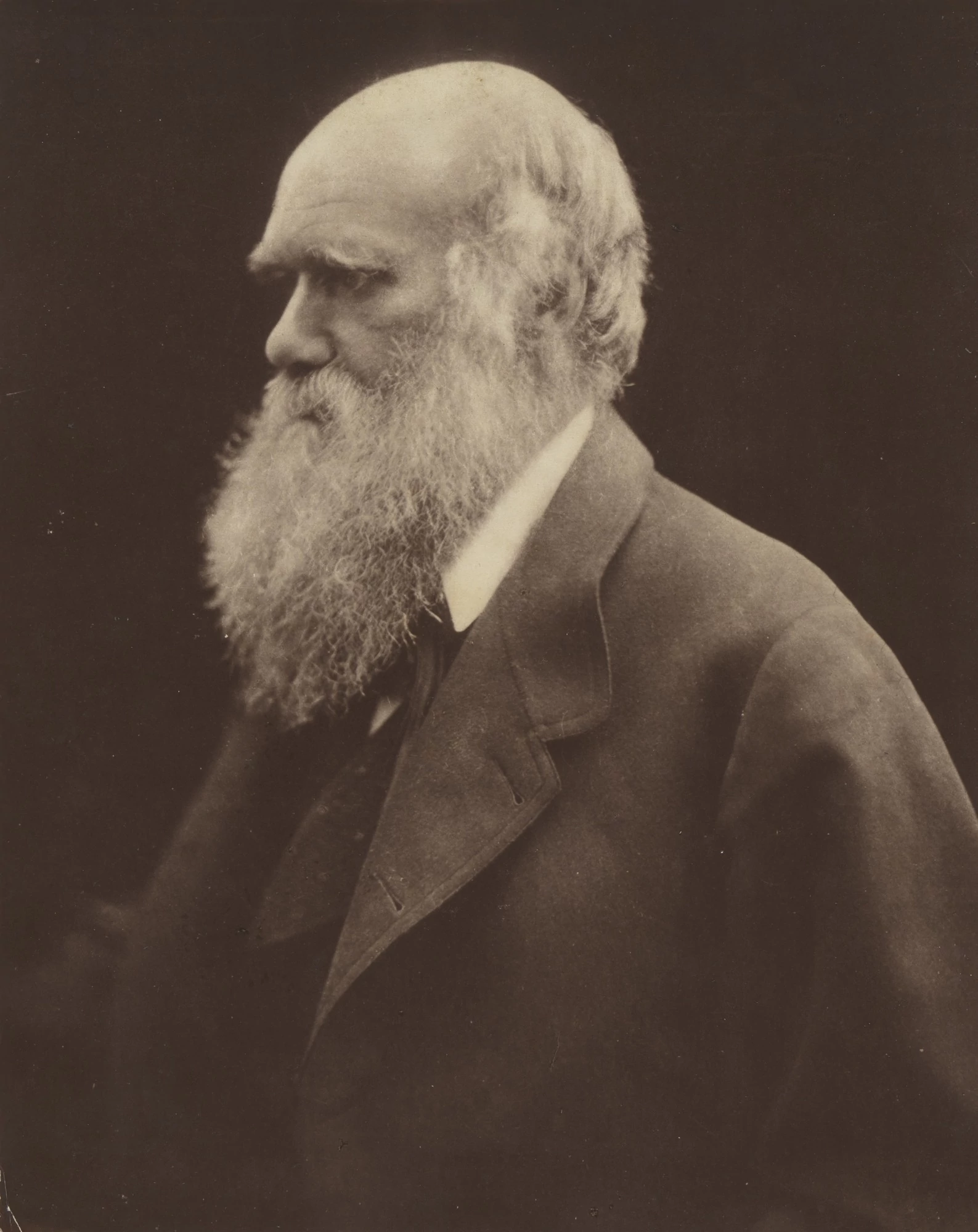 Portrait of Charles Darwin, Julia Margaret Cameron
