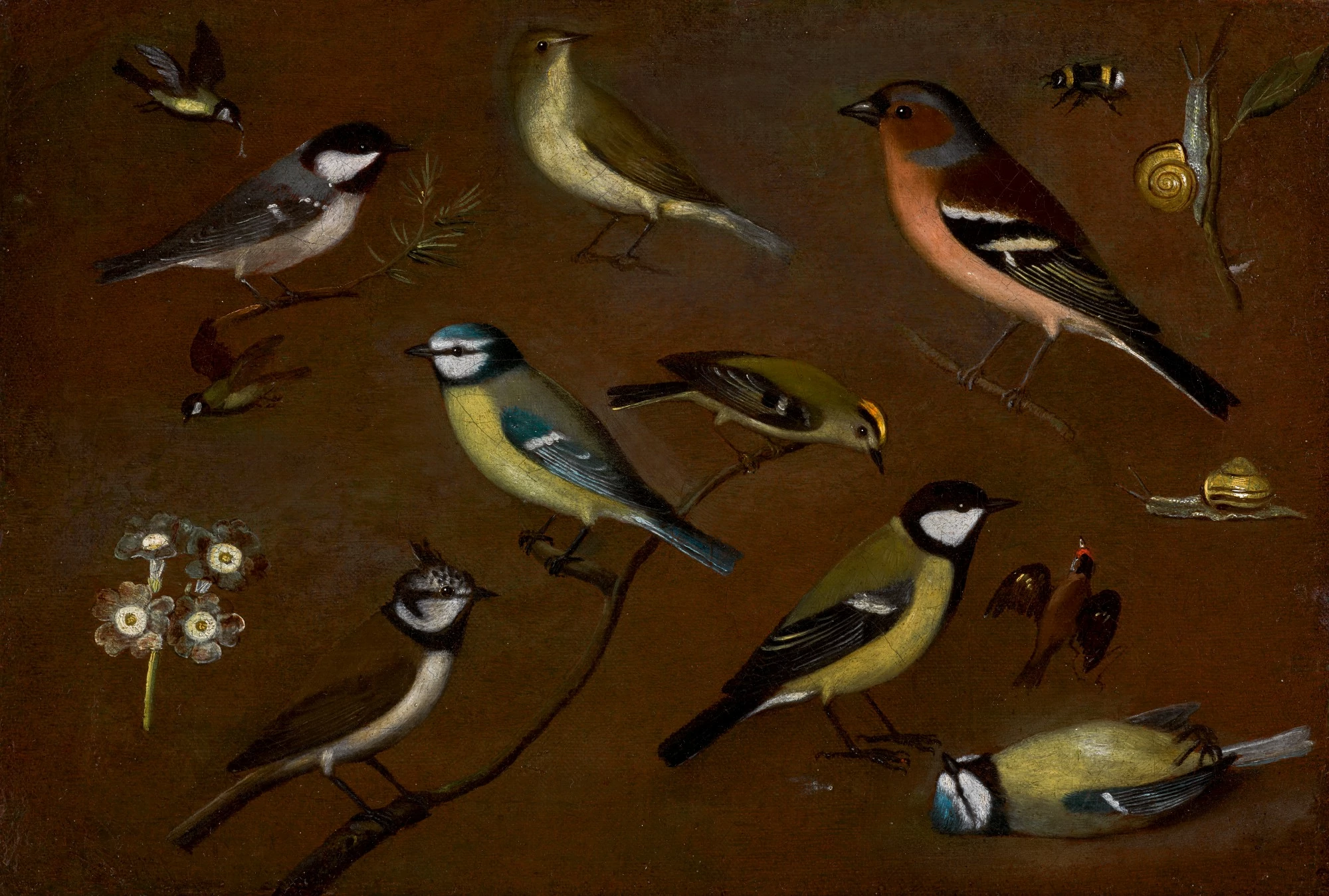 Still life of Birds, Orsola Maddalena Caccia