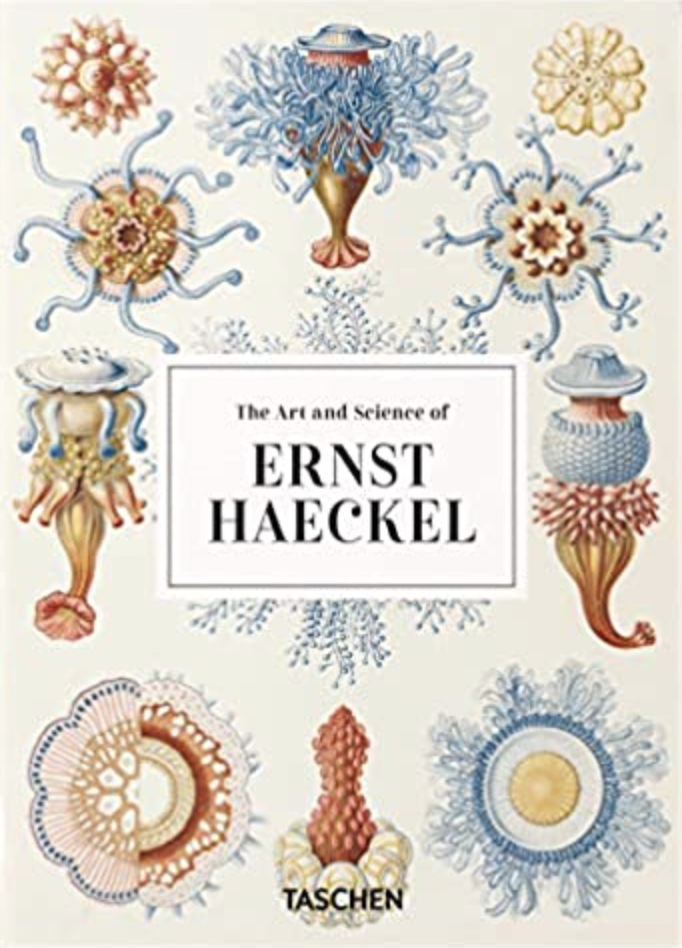 The Art and Science of Ernst Haeckel, Recommended Reading