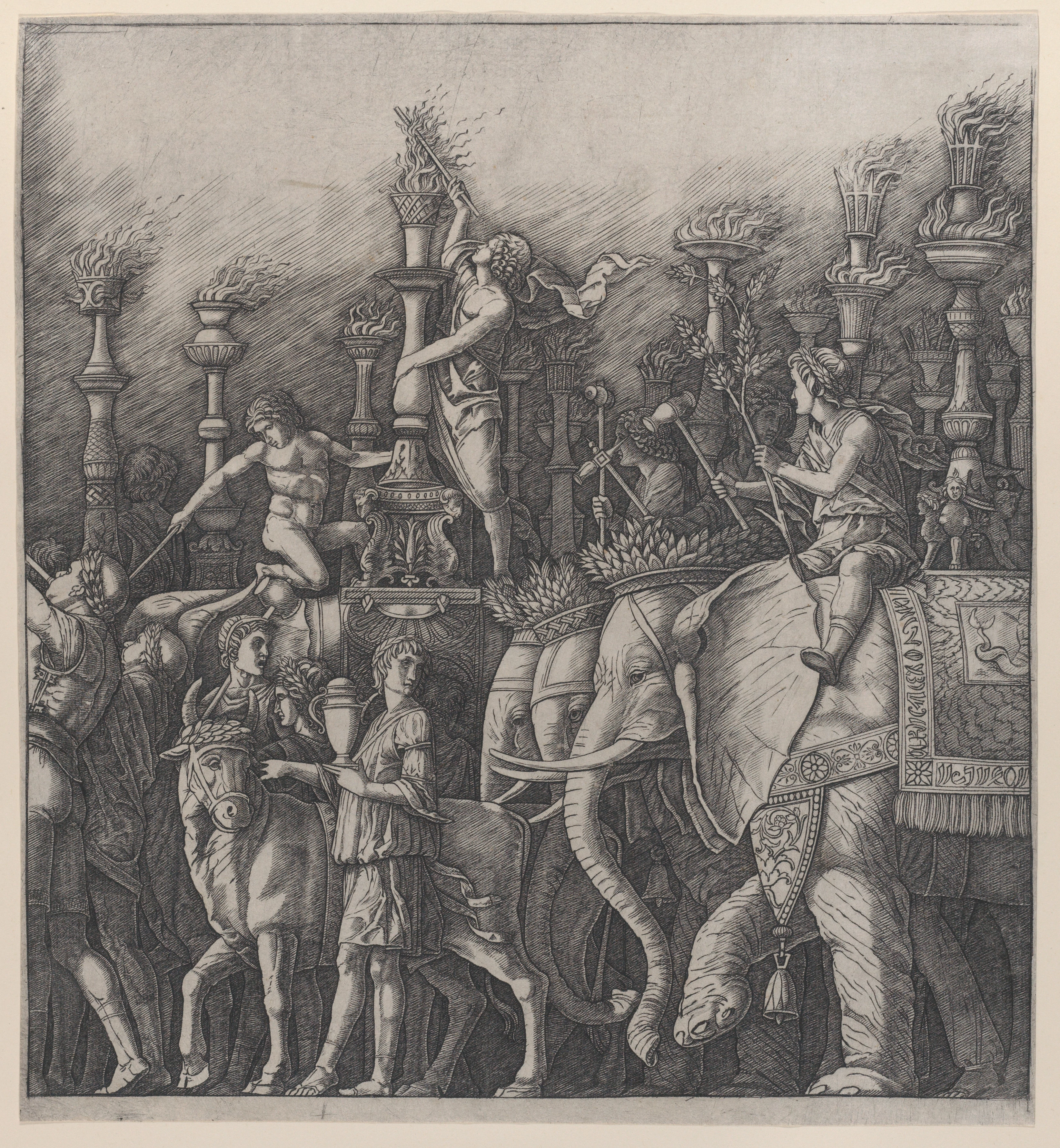 The Triumph of Caesar: the Elephants, Giulio Campagnola