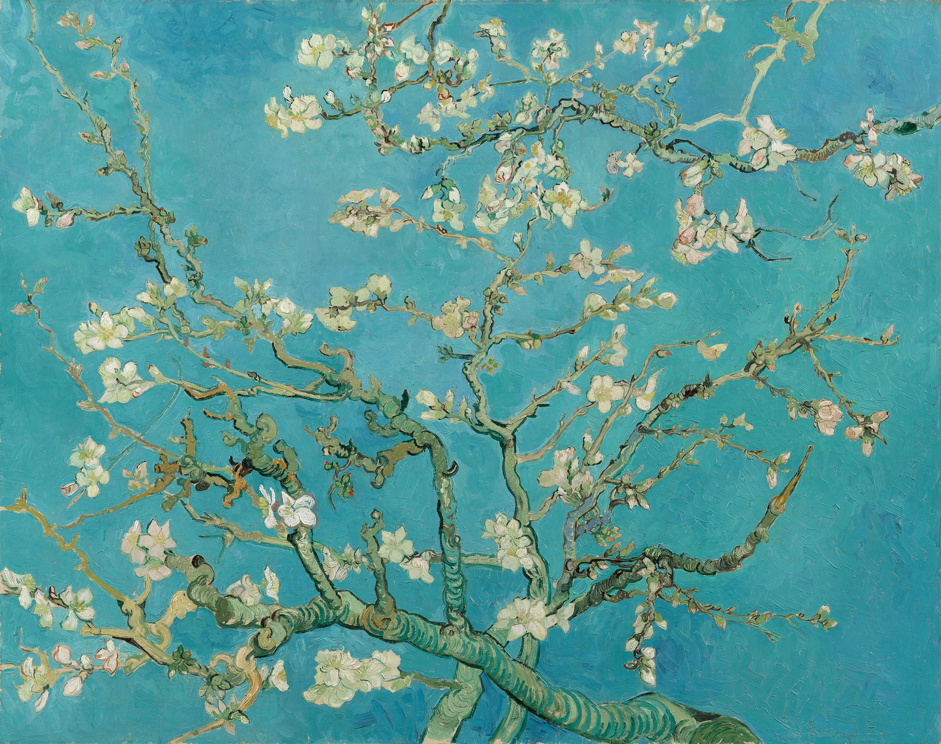Almond Blossom, Vincent Van Gogh